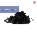 Sea Weed Extract small-image